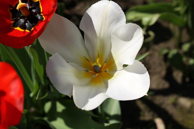 wiosna 2010_02.jpg